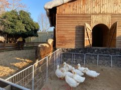 -HERRE·FARM 赫尔露营农场·团建聚会包场