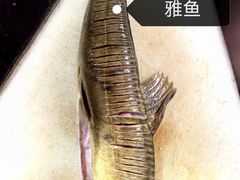 -土砂锅生态山庄·非遗砂锅雅鱼