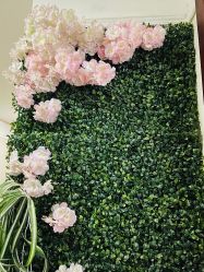 -美肤盾祛痘·问题肌头疗管理中心