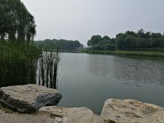 -大兴滨河森林公园