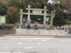 -白沙古井