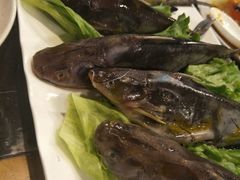 黄辣丁-杨家火锅(国美店)