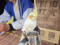 -杭州宋城