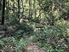 -南山植物园