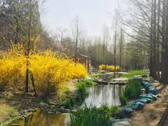 -白水寺森林公园