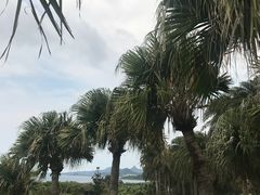 -鹅銮鼻公园
