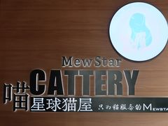 -CAT’S MEWSTAR CAFE·喵星球猫屋(晴湾咖啡店)