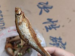 -大马弄蒋师傅美食酥鱼(察院前店)