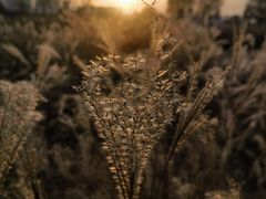 -汉长安城未央宫国家考古遗址公园