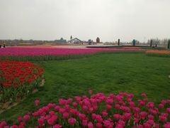 -南通鲜花小镇