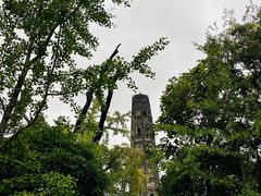 -上海佘山国家森林公园天马山园