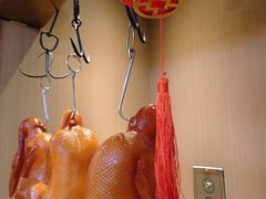 -宏宴·新京菜(望京店)