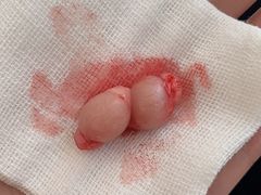 -北京恒爱动物医院(清景园分院)