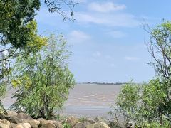 -上海吴淞炮台湾国家湿地公园