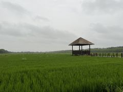-西青郊野公园