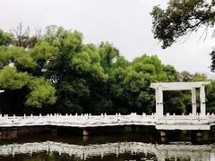 -龙沙公园