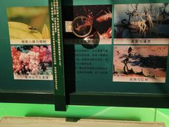 -中国湿地博物馆