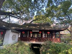 -上海醉白池公园
