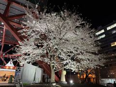 -札幌电视塔