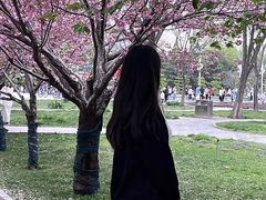 -石家庄市植物园