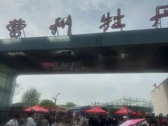 -曹州牡丹园