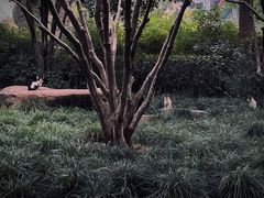 -杭州城北体育公园