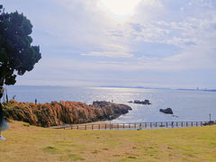 -小麦岛公园