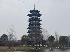 -洋湖国家湿地公园