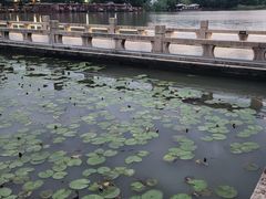 -沙家浜风景区