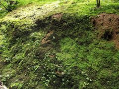 -梦姑塘文化公园