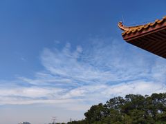 -深圳仙湖植物园