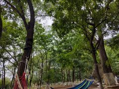 -长白岛森林公园