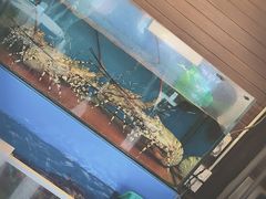 -真浪花园海鲜餐馆