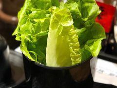 生菜-九田家黑牛烤肉料理(石路天虹店)