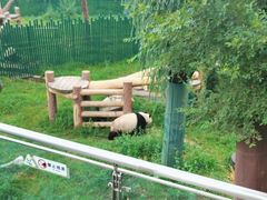 -沈阳森林动物园