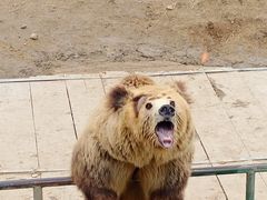 -宿豫区运河湾森林动物园