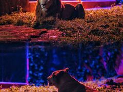 -杭州野生动物世界