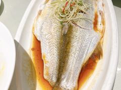 清蒸白丝鱼-城北食府(枫林店)