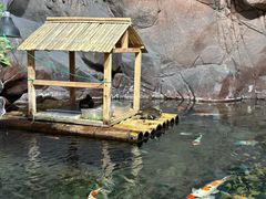 -上海海洋水族馆