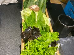 -蓉客成都火锅·招牌麻辣牛杂·特色香辣蹄花(凌水店)