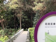 -铁山坪森林公园