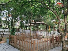 -陶缘一号·四季缘·老字号顺德菜·户外婚礼家宴(西滘店)