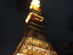 -东京塔海贼王主题公园