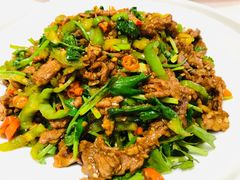 小炒黄牛肉-潇湘码头·鲜湘菜(清河店)