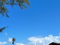 -西涌国际滨海旅游区