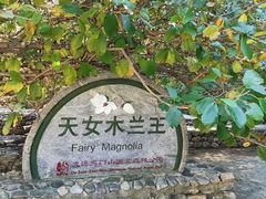 -大连天门山国家森林公园