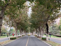 -四川大学(望江校区)