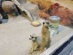 -苏州海洋馆