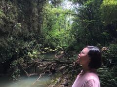 -怀托摩萤火虫洞