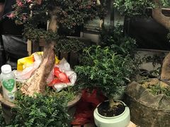 -万商花鸟市场